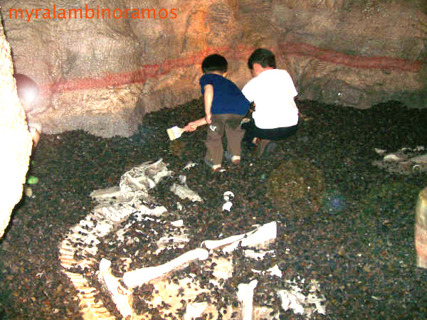 copy.L.A.NATURAL HERITAGE MUSEUM