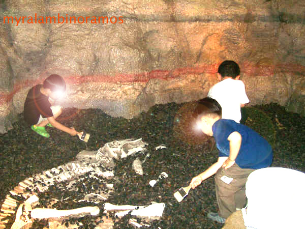 L.A. NATURAL HERITAGE MUSEUM