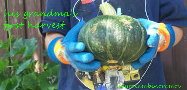 grandma'sFIRST HARVEST 003 copy