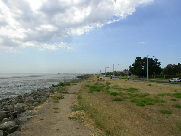 a.Jogging_Path_and_Open_Space a.Jogging_Path_and_Open_Space