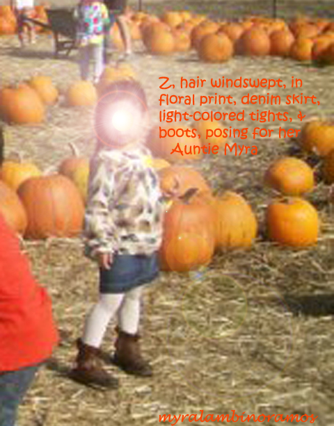 aa.atthepumpkinfarm