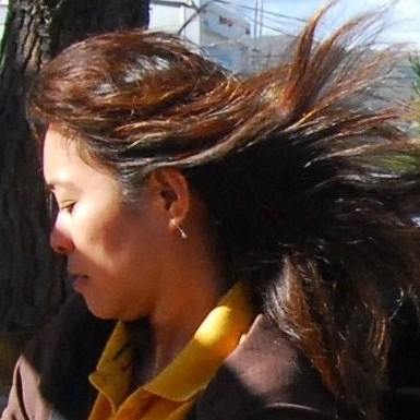 FAULKNER FARM 10-30-10 (9)