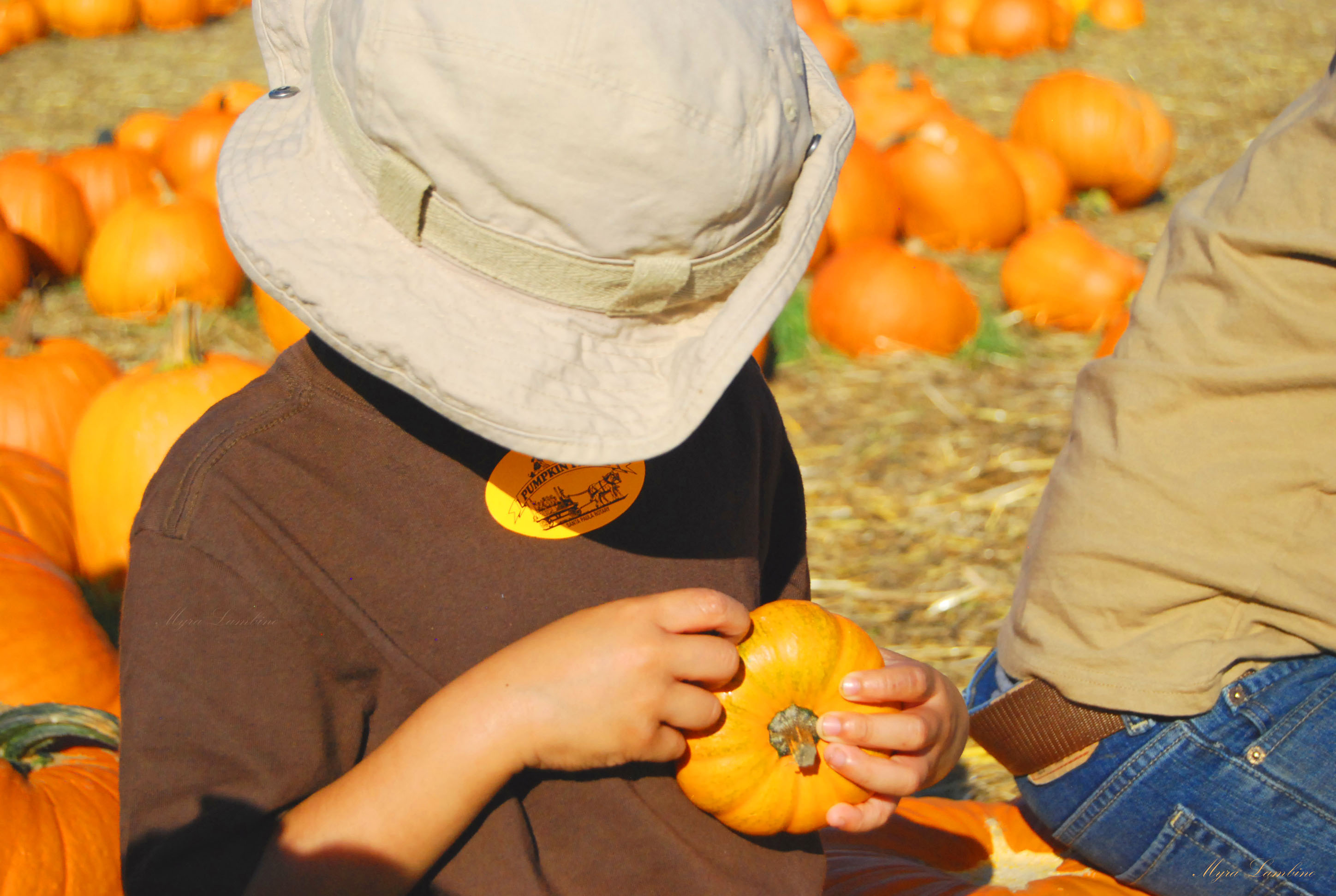 1.PUMPKIN PATCH