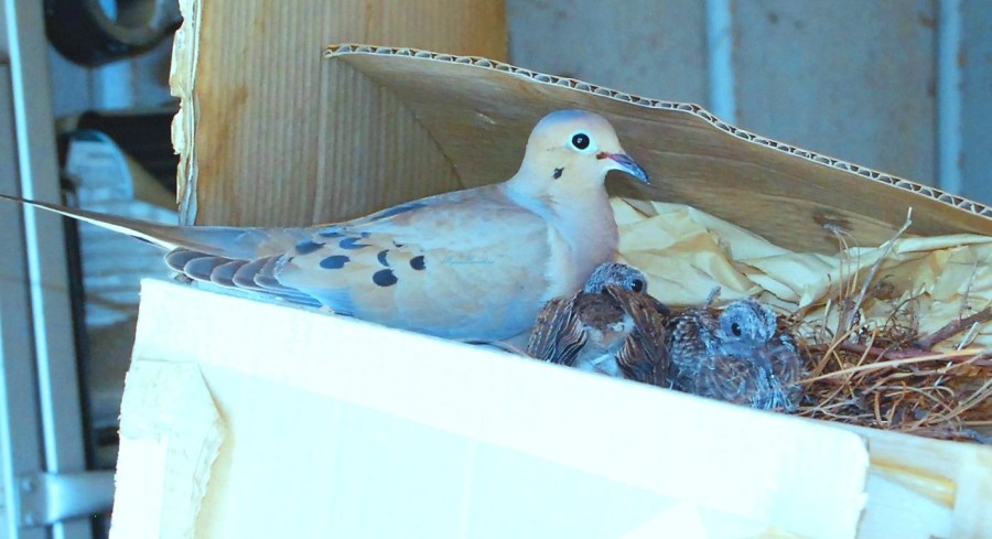 ????????????????????????????????????